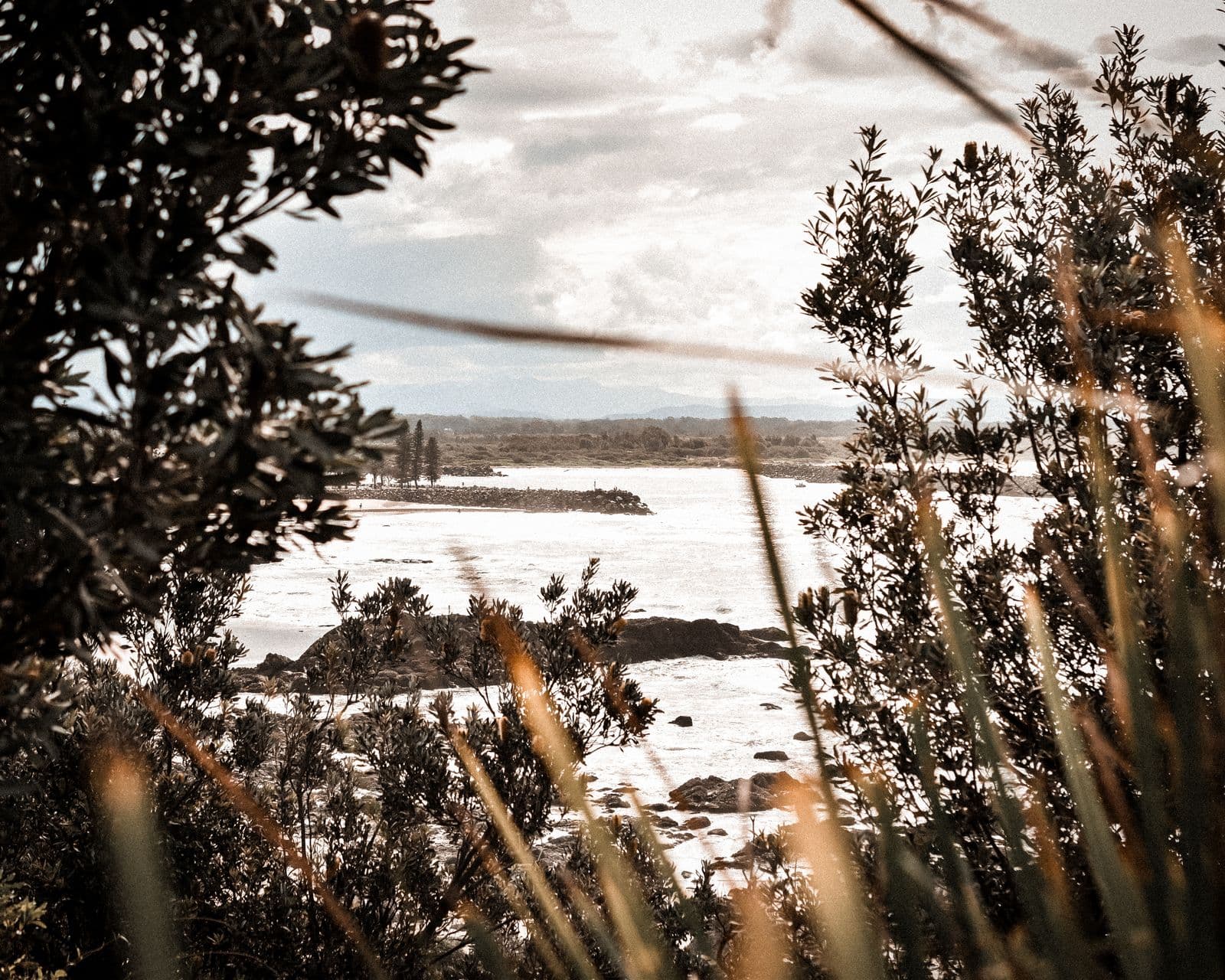 Port Macquarie coastline glimpsed through coastal banksia and palms