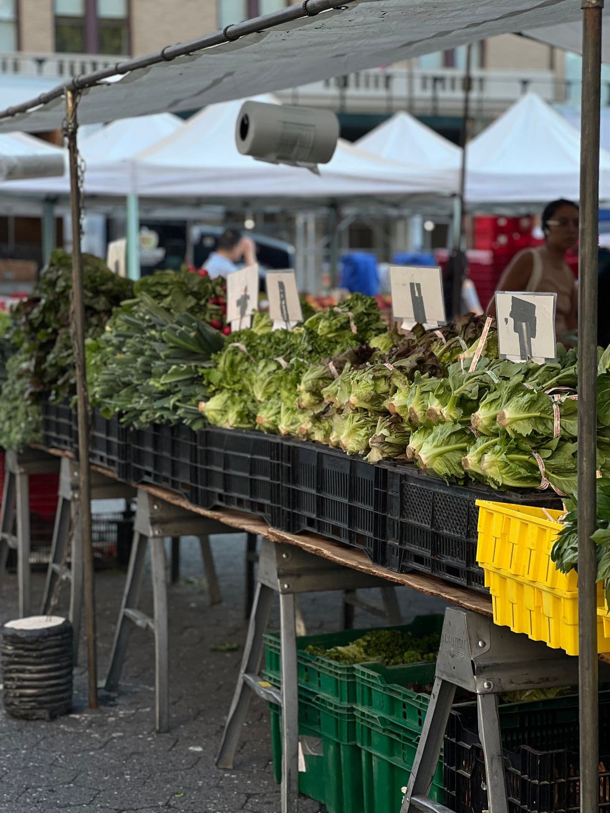 Fresh green vegetables stacked on a growers market stall