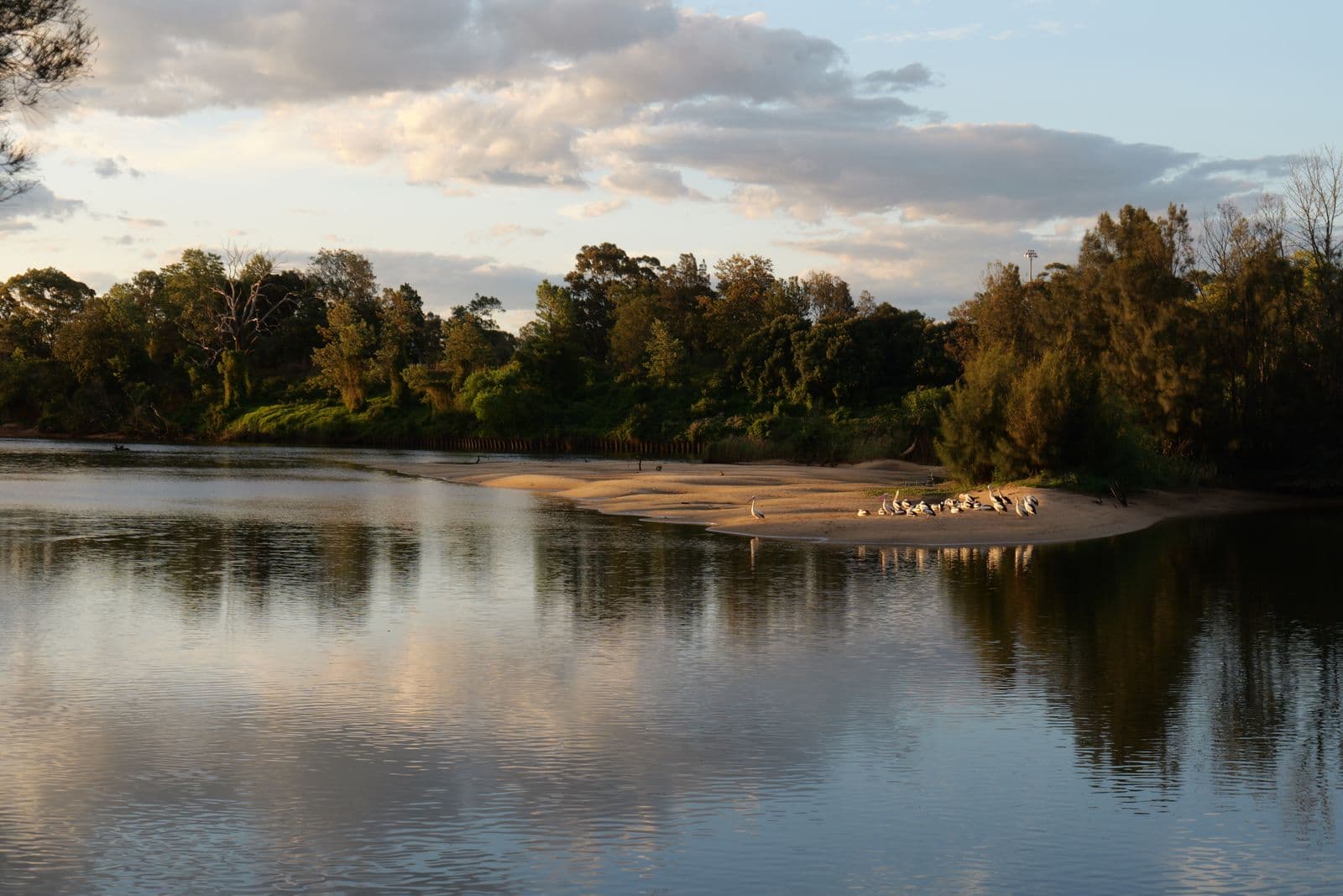 A calm river at sunset with birds overhead