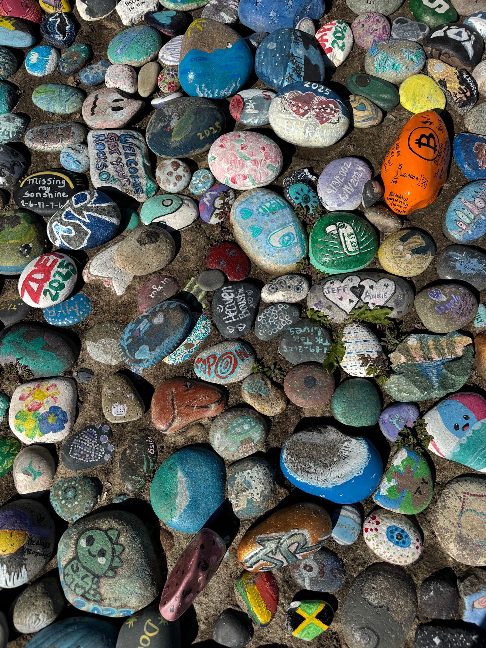Dozens of hand-painted rocks in bright colours, the same tradition as the Town Beach breakwall